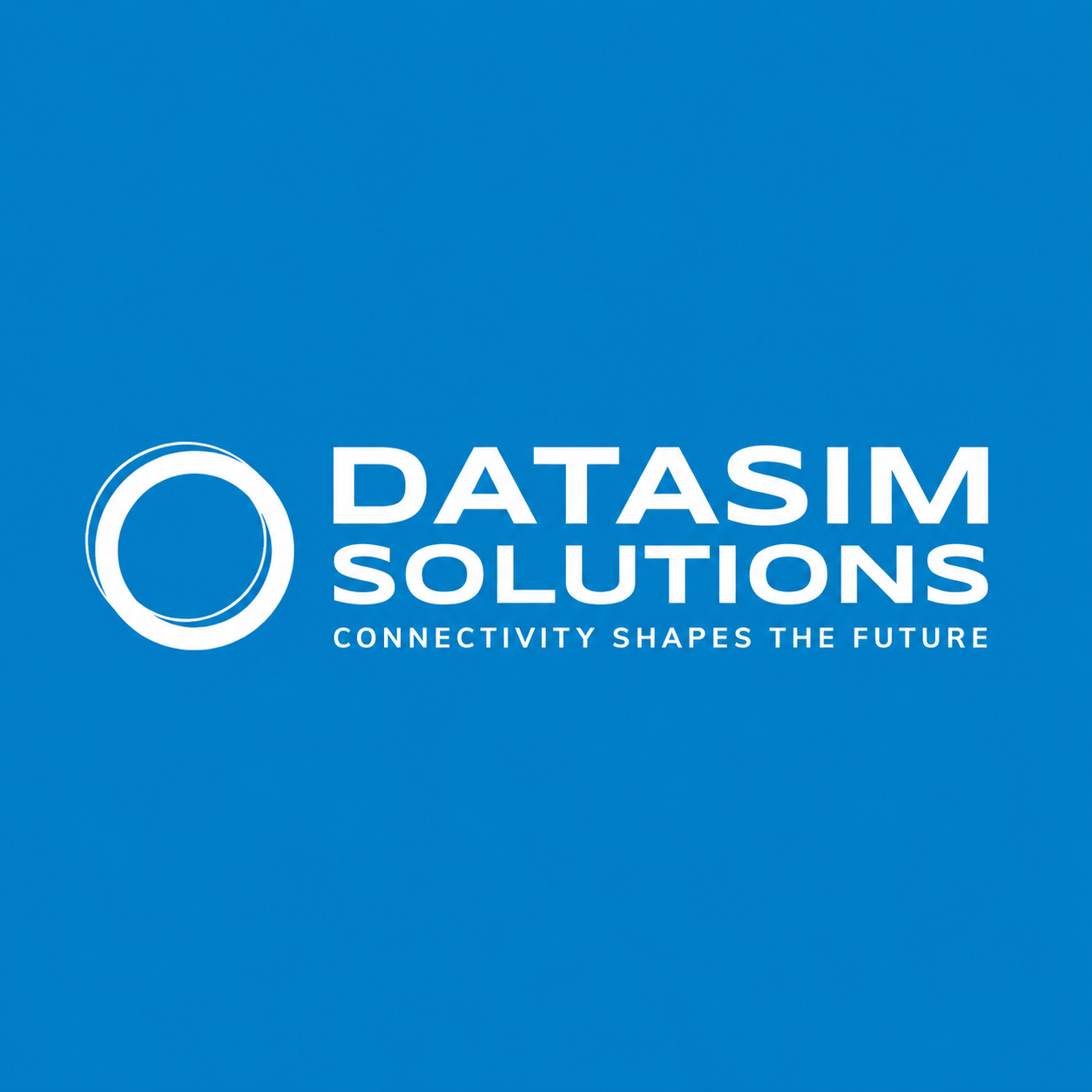 DataSim Solutions